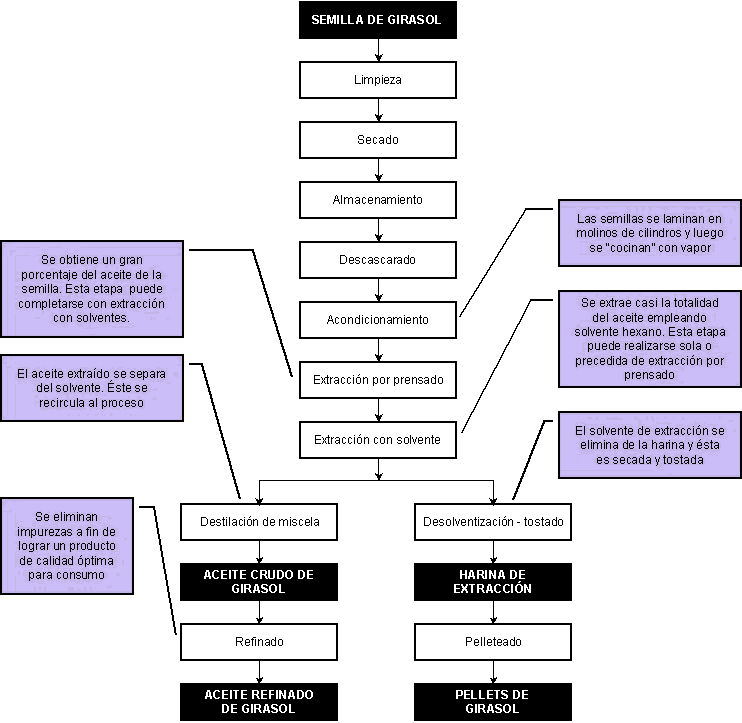 Diagrama de Proceso Industrial - GIRASOL