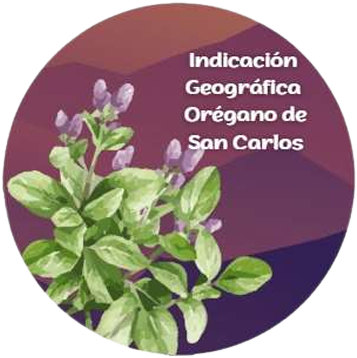 Aceite