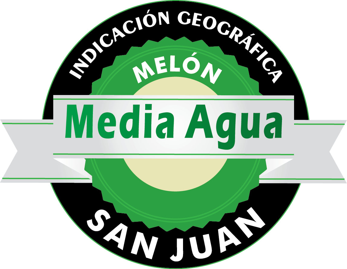 Melón de Media Agua San Juan