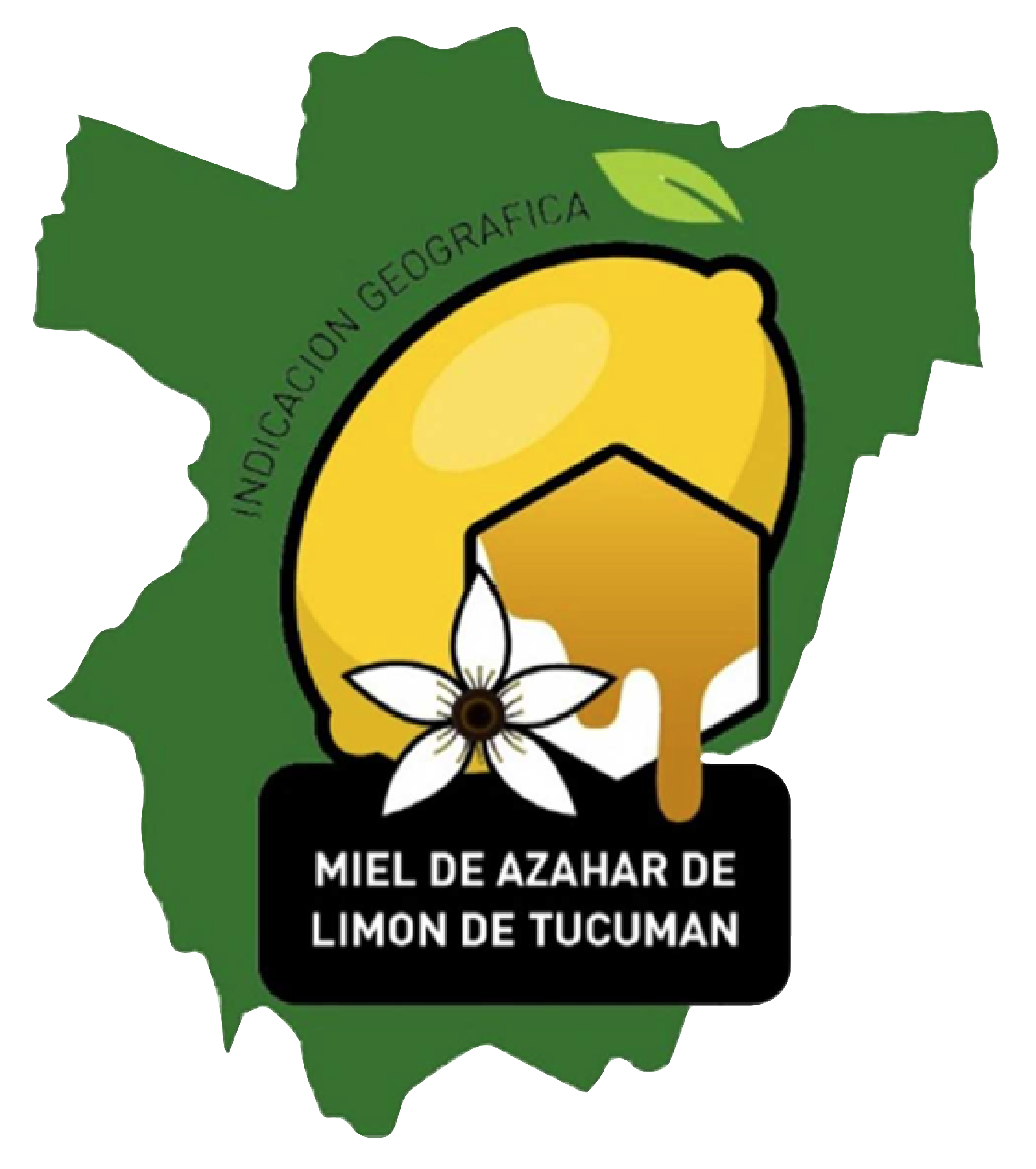 Miel de Azahar de Limón de Tucumán